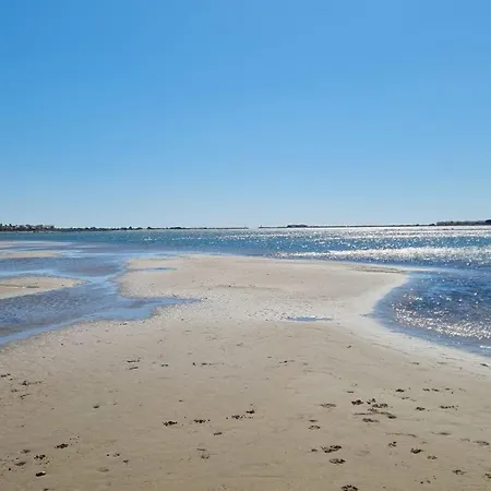 La Mediterrannee Port De *
